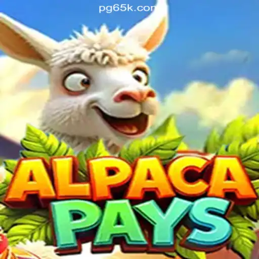 Discovering AlpacaPays: A Thrilling Adventure with 65K.COM Cassino