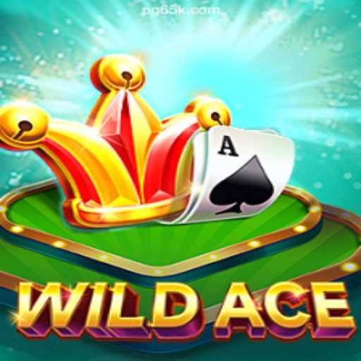 Exploring WildAce: The Thrilling Casino Experience